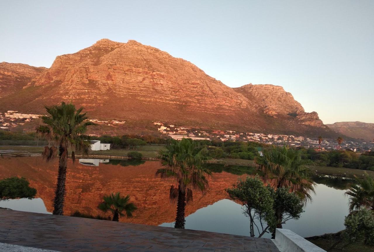 Vlei Cove Guesthouse Cape Town Exterior foto