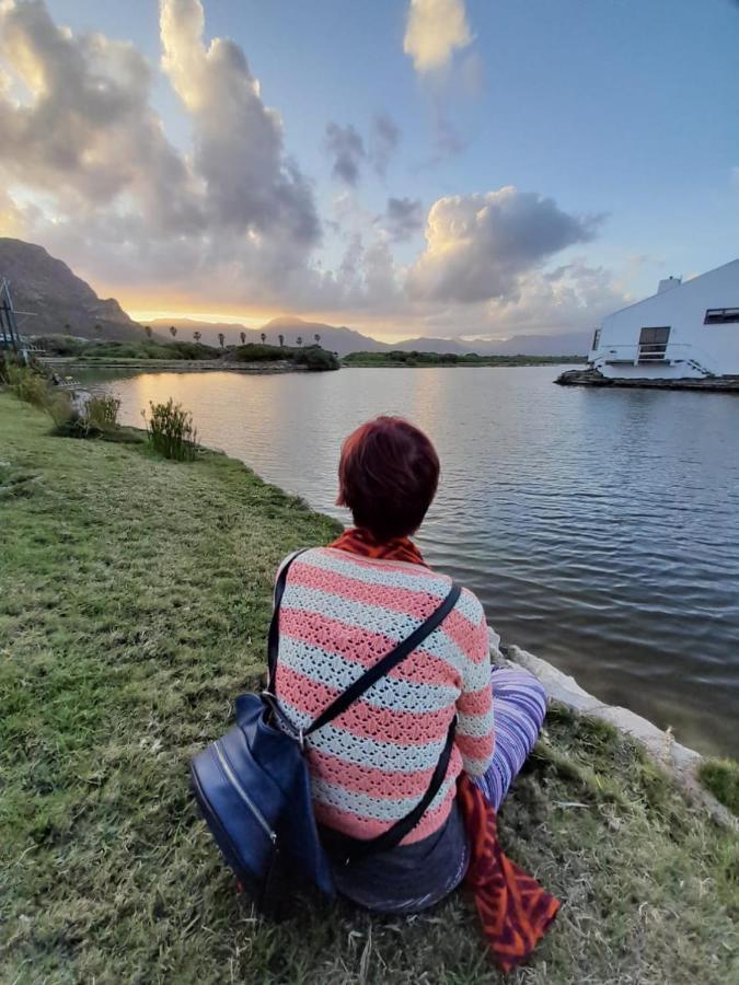 Vlei Cove Guesthouse Cape Town Exterior foto