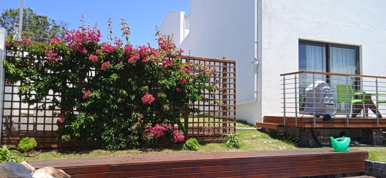 Vlei Cove Guesthouse Cape Town Exterior foto