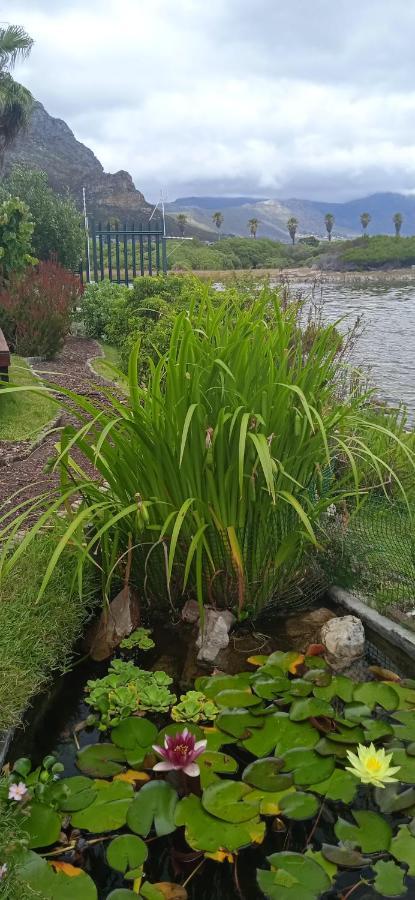 Vlei Cove Guesthouse Cape Town Exterior foto