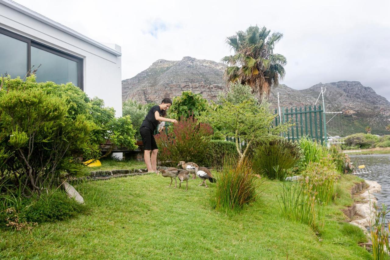 Vlei Cove Guesthouse Cape Town Exterior foto
